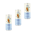 Harrington – Extrait d’argousier et genévrier – Pack de 3 × 355 ml - Le marché Boréal