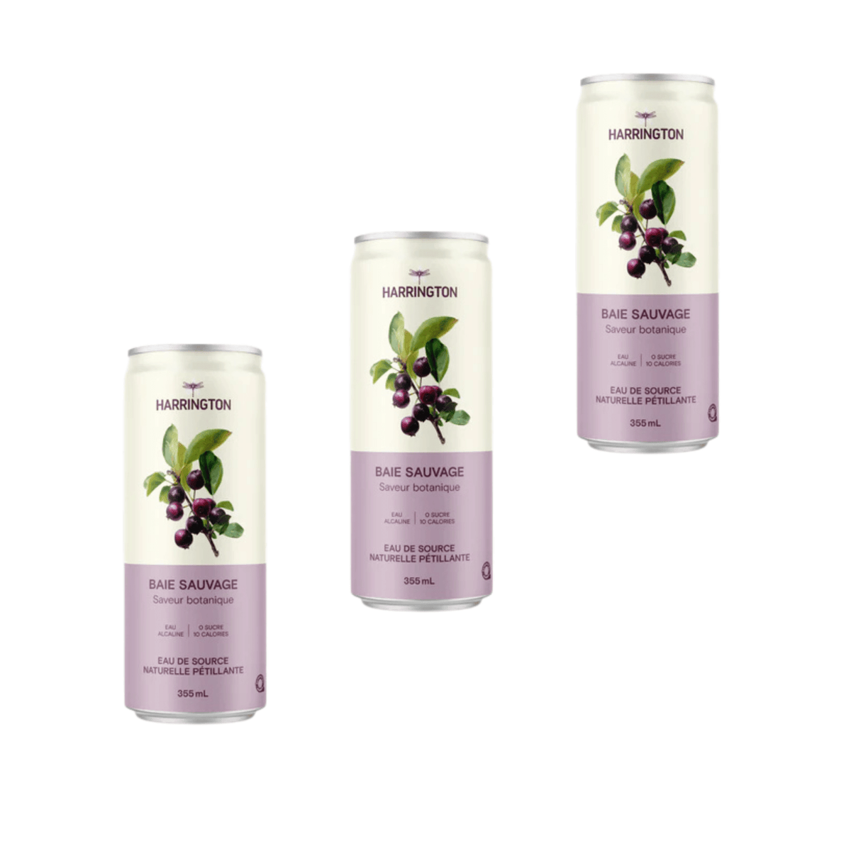 Harrington – Extrait de baie sauvage – Pack de 3 × 355 ml - Le marché Boréal