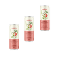 Harrington – Extrait de pomme et vanille boréale – Pack de 3 × 355 ml - Le marché Boréal