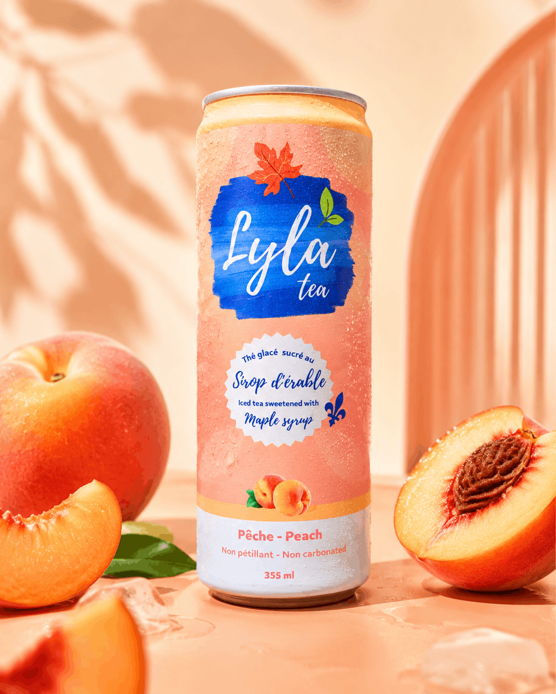 Pack Découverte Lyla Tea - 6 thés glacés à l’érable - 355ml - Le marché Boréal